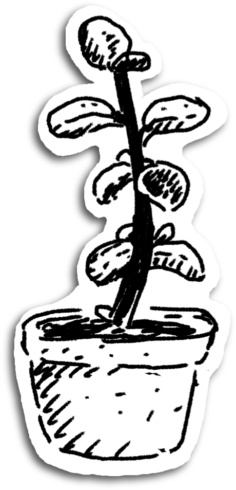 black and white illustration of a succulant plant